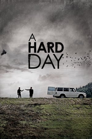 A Hard Day (2014) Hindi Dual Audio – 720p – 480p